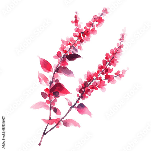 watercolor of Lilac Branch, isolated on a white background.