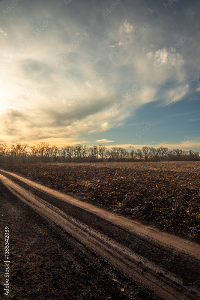 Naklejka premium Road on the field and around the forest , beautiful landscape on the field .Sunny day with clouds and sun.Road to the mystery place 