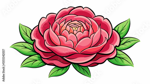 Peony on a white background