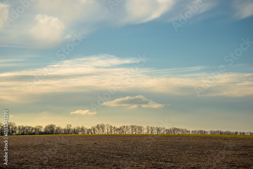 Road on the field and around the forest , beautiful landscape on the field .Sunny day with clouds and sun.Road to the mystery place 