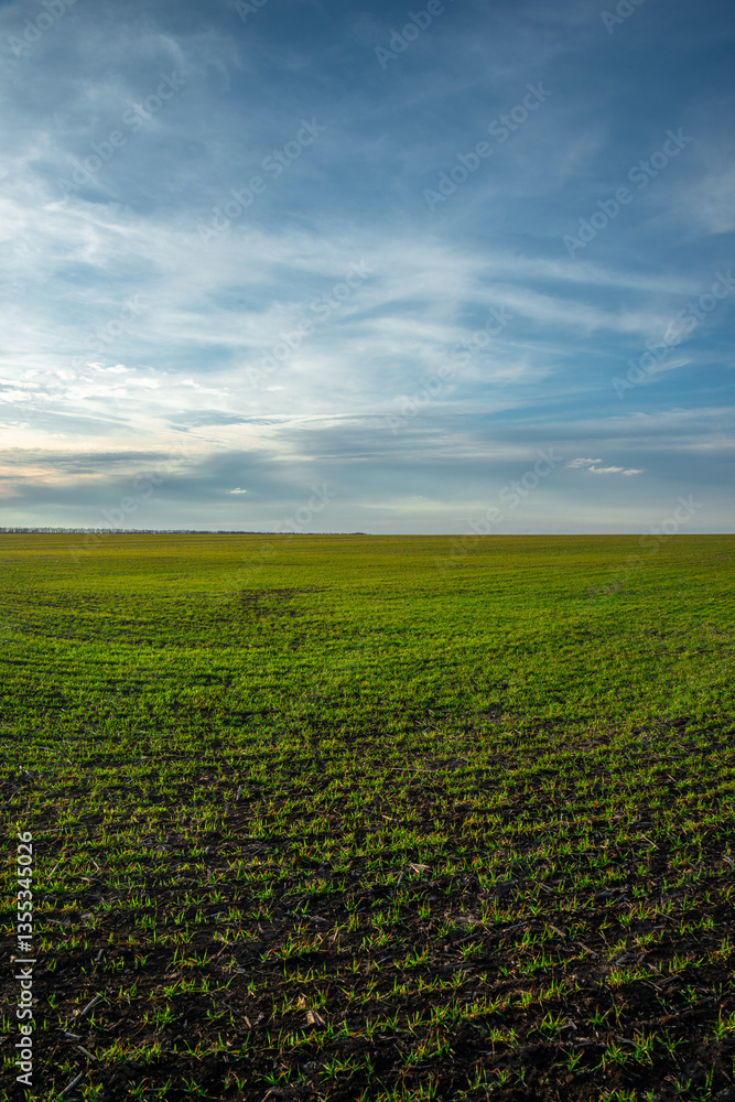 Naklejka premium Beautiful field and nature at the spring evening.Sunset over the trees and green field.Landscape photography,sunny day , sunset and field with road 