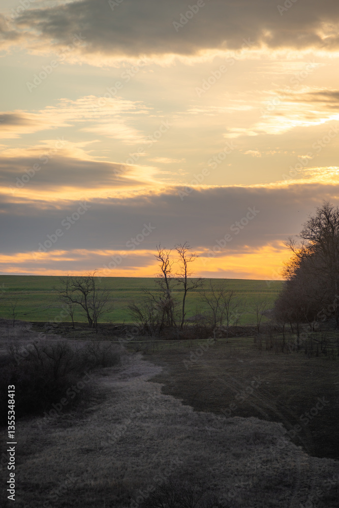 Fototapeta premium Beautiful field and nature at the spring evening.Sunset over the trees and green field.Landscape photography,sunny day , sunset and field with road 