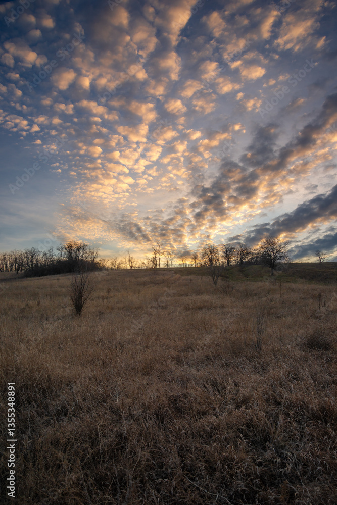 Landscape photo with beautiful sunset and clouds on the sky , field and trees , spring evening in the woodlands ,sun lights , beautiful nature Landscape photo with beautiful sunset and clouds on the sky , field and trees , spring evening in the woodlands ,sun lights , beautiful nature