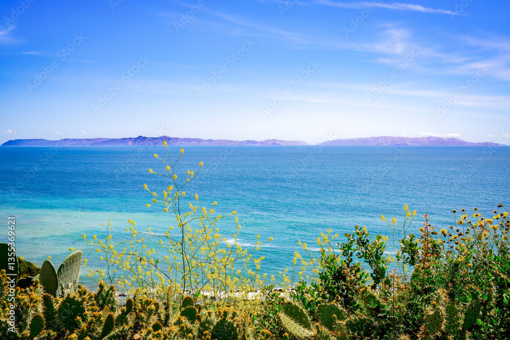 Beautiful flower and greenery with full ocean and Catalina Island view with blue cloudy sky
