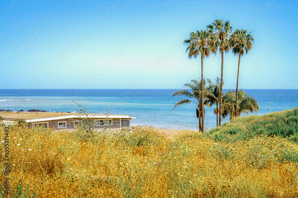 Luxury beach and countryside neighborhoods during Springtime in Southern California