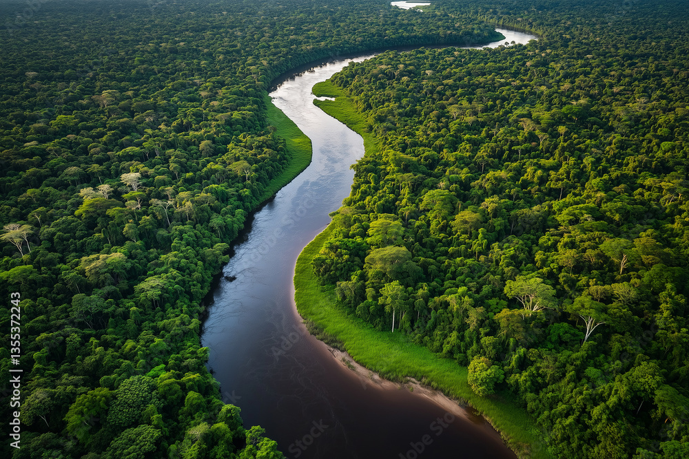 Majestic river weaves through lush rainforest canopy at dawn, revealing nature's serenity and vibrant ecosystem Majestic river weaves through lush rainforest canopy at dawn, revealing nature's serenity and vibrant ecosystem
