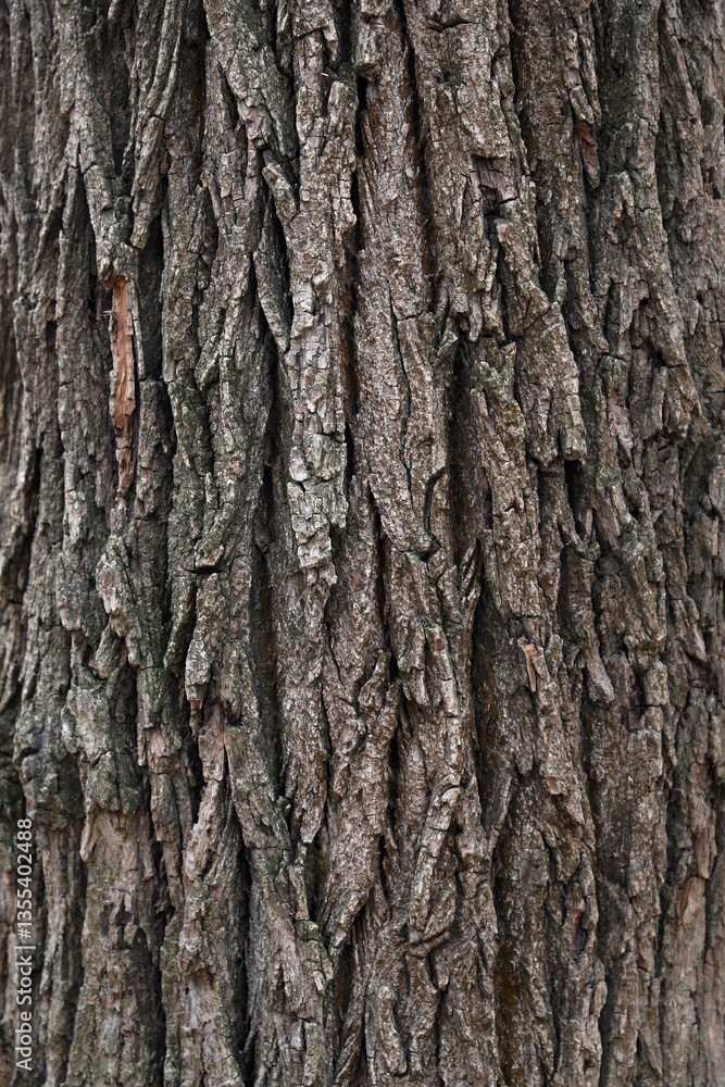 dark brown tree bark texture, background, pattern, backdrop, close-up dark brown tree bark texture, background, pattern, backdrop, close-up
