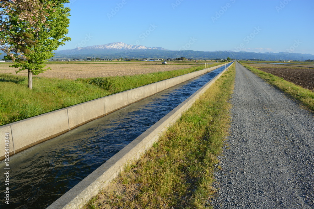 Naklejka premium 農道と農業用水路 田園風景