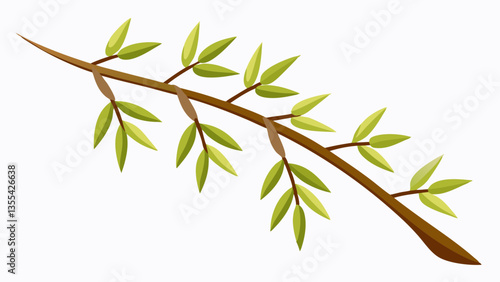 Willow branch on a white background