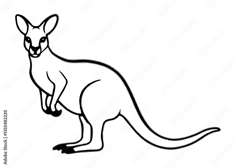 Kangaroo Illustration: A detailed and artistic black and white illustration of a kangaroo, showcasing its iconic posture and features. Kangaroo Illustration: A detailed and artistic black and white illustration of a kangaroo, showcasing its iconic posture and features.