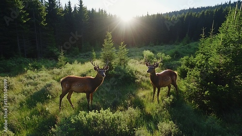 Two graceful deer standing in a sunlit forest clearing surrounded by lush greenery : Generative AI
