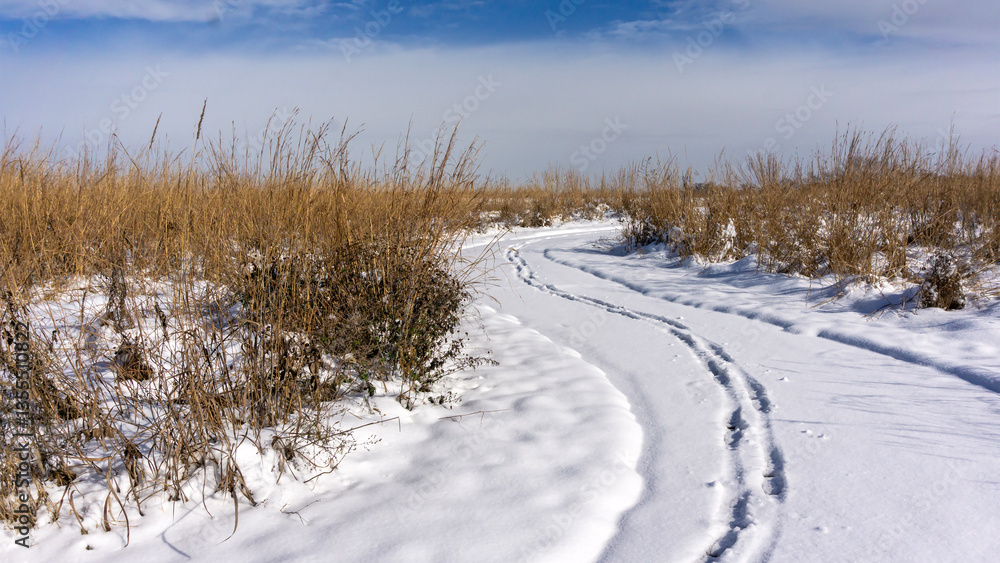 Snow covered path through a field in winter Snow covered path through a field in winter