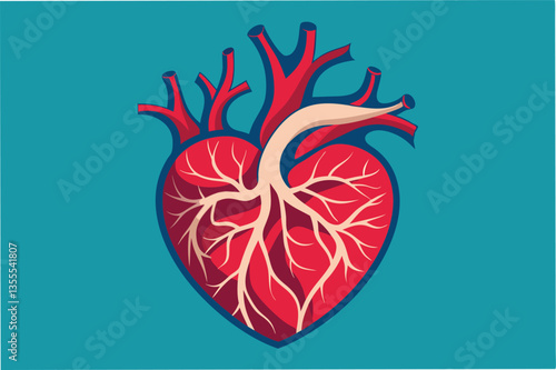 Detailed vector illustration of a human heart showing arteries and veins on a minimal background in vibrant colors