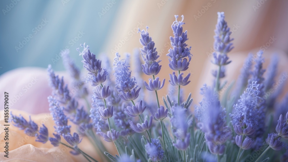 Obraz premium Elegant lavender flowers arranged on a soft pastel backdrop.