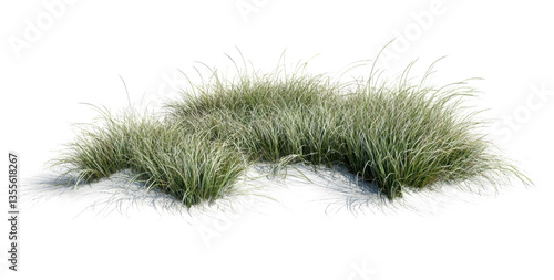 PNG Grassland shrub landscape vegetation background isolated.
