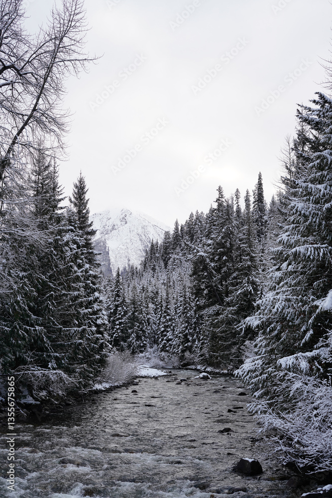 Naklejka premium Elevated Beauty: Frozen Canadian peaksA breathtaking view of frozen Canadian mountains at high elevations. Towering, snow covered peaks contrast against a vivid winter sky.