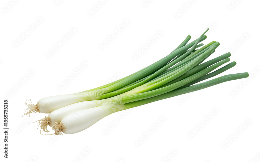 green onion isolated on the white background green onion isolated on the white background