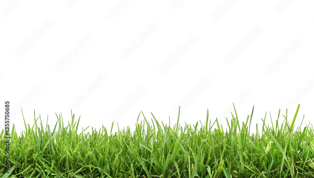 a close-up view of lush green grass against a plain white background creating a fresh and natural aesthetic suitable for design or environmental themes a close-up view of lush green grass against a plain white background creating a fresh and natural aesthetic suitable for design or environmental themes