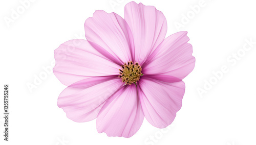 pink flower with soft petals and a central cluster of yellow stamens symbolizing beauty and nature