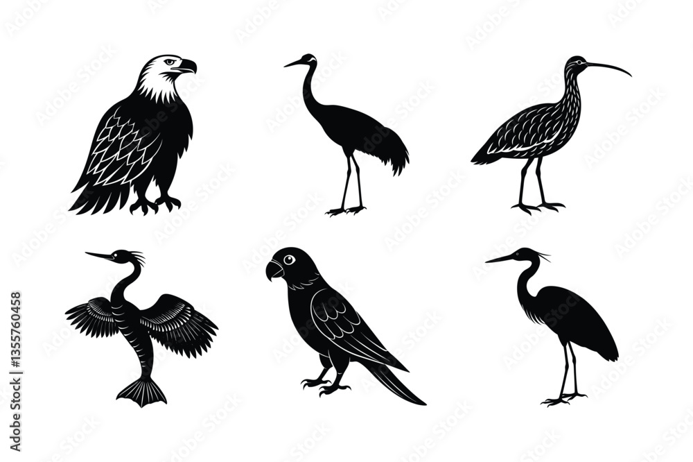 Fototapeta premium many kinds exotic birds silhouette vector illustration