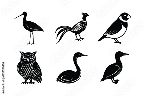 many kinds exotic birds silhouette vector illustration