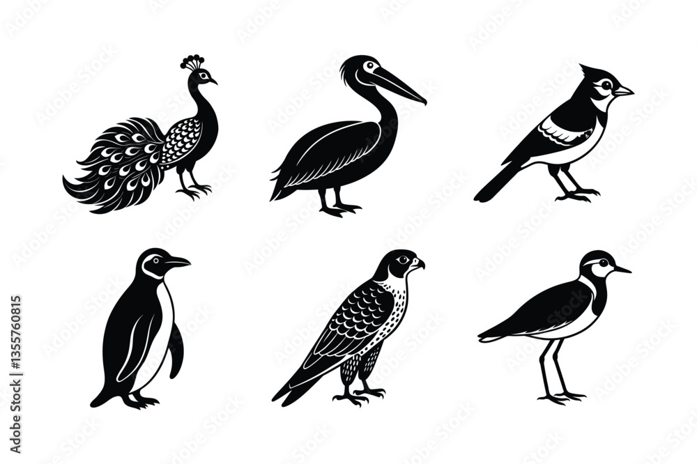 Obraz premium many kinds exotic birds silhouette vector illustration
