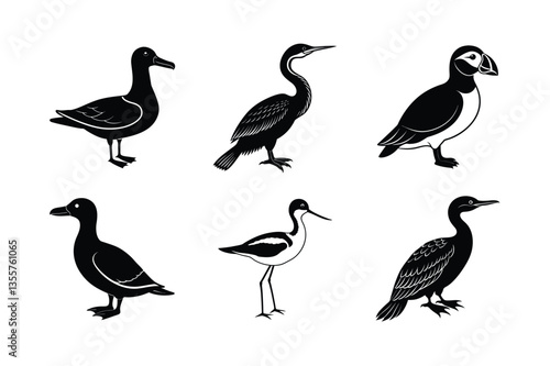 many kinds exotic birds silhouette vector illustration