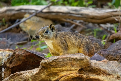 Serra da Capivara Piauí