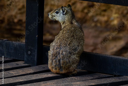 Serra da Capivara Piauí
