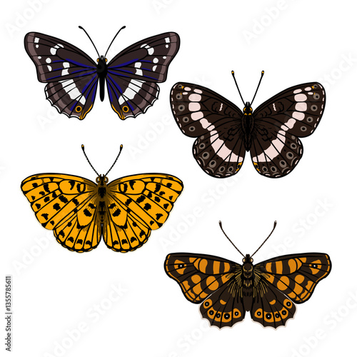 vector drawing set of butterflies ,purple emperor, high brown fritillary, speckled wood and Eurasian white admiral isolated at white background, natural element, hand drawn illustration