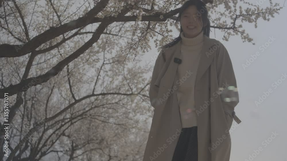 매화 매화