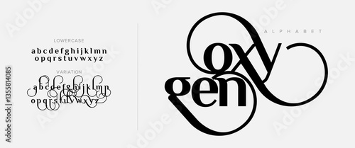 Oxygen Elegant Font Uppercase Lowercase And Number. Classic Lettering Minimal Fashion Designs. Typography modern serif fonts regular decorative vintage concept. vector illustration