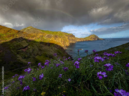 Obraz na płótnie Beautiful coastal area in Madeira, Portugal, and storm clouds w salonie
