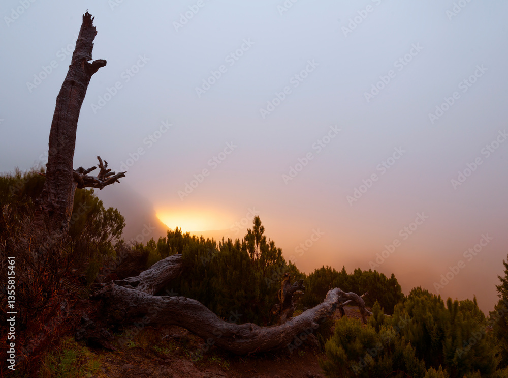 Beautiful sunrise colors in the coastal area of the Madeira island wilderness
