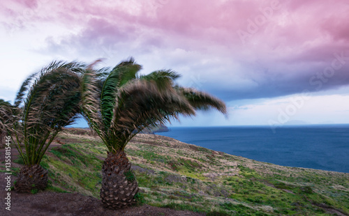 Obraz na płótnie Beautiful sunrise colors in the coastal area of the Madeira island wilderness w salonie