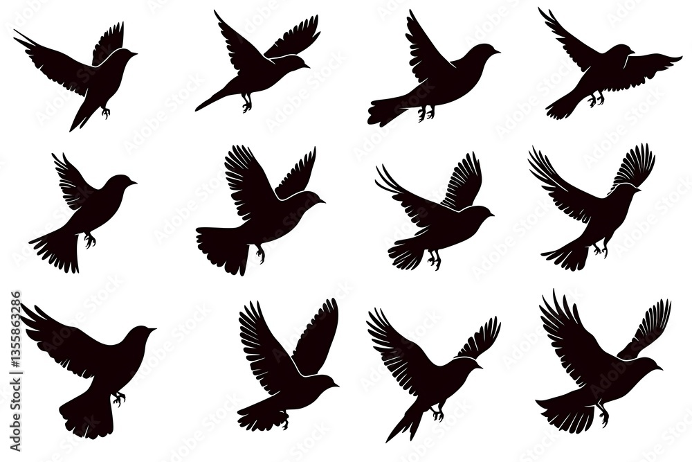 Obraz premium Flying Birds Silhouettes Set.
