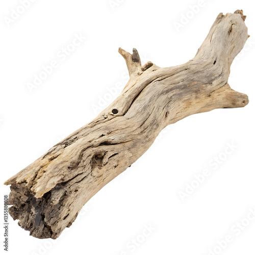Driftwood isolated on transparent background
