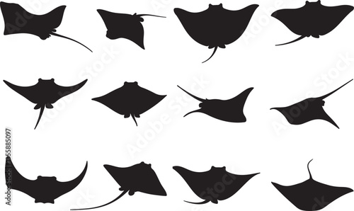 Stingray Silhouettes