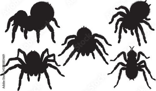 Tarantula Hawk Silhouette