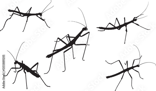 Walking Stick Silhouette