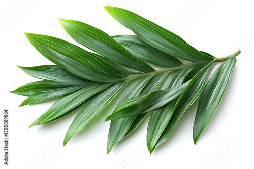 A vibrant green leaf arrangement showcasing its beautiful natural details