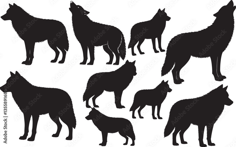 Fototapeta premium Wolf Silhouette on White Background