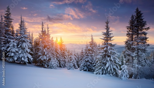 Wallpaper Mural sunset sky behind snow covered pine trees Torontodigital.ca