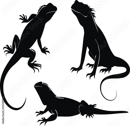 Black Silhouette Iguana Illustrations – Reptile Vector Art