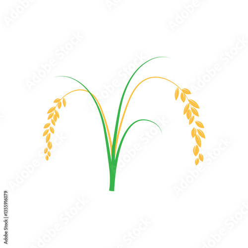 Rice set. Isolated rice on white background