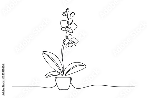 Single Line Drawing of Potted Orchid Flower Plant