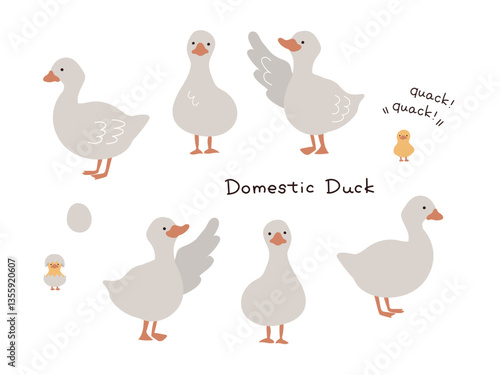 白背景で手描きのアヒルのイラストセット