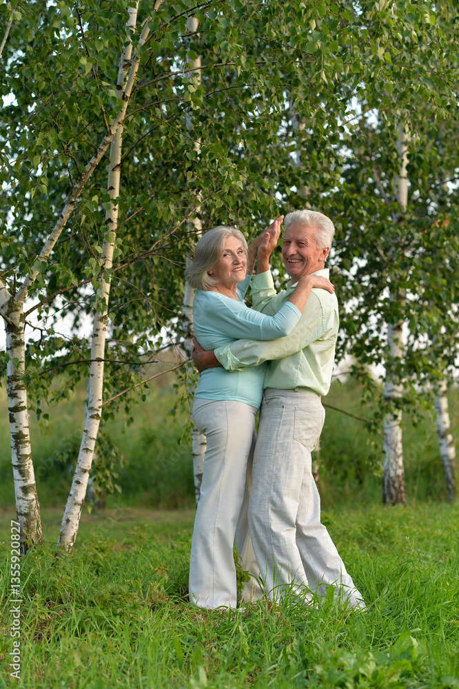 Joyful senior couple dancing in the park