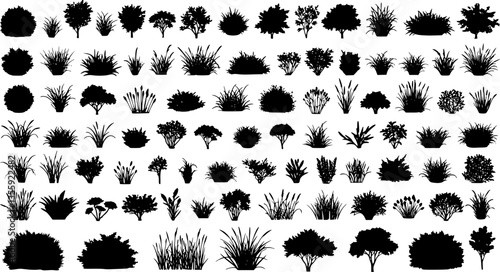 set of bush grass shrub herb silhouette vector transparent background 