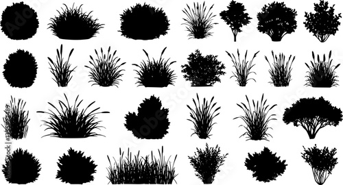 set of bush grass shrub herb silhouette vector transparent background 